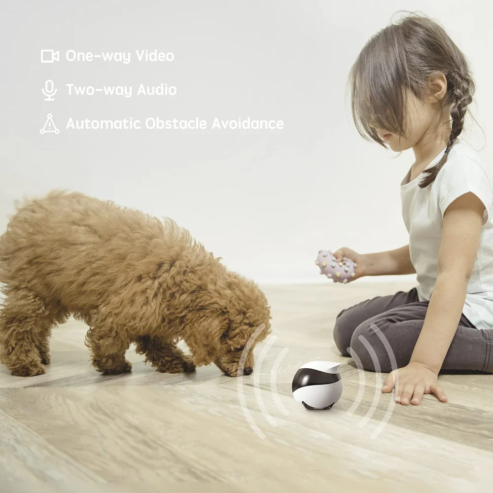 SE Câmera Robô para Cão Gato B - Home Security Robot Dog avaliação e preço
