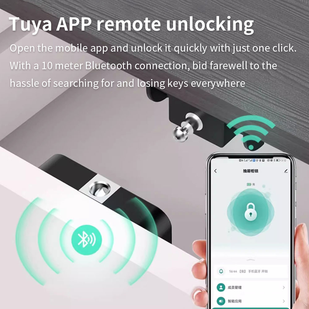 Tuya armário escondido bloquei - Home Security Electronics avaliação e preço